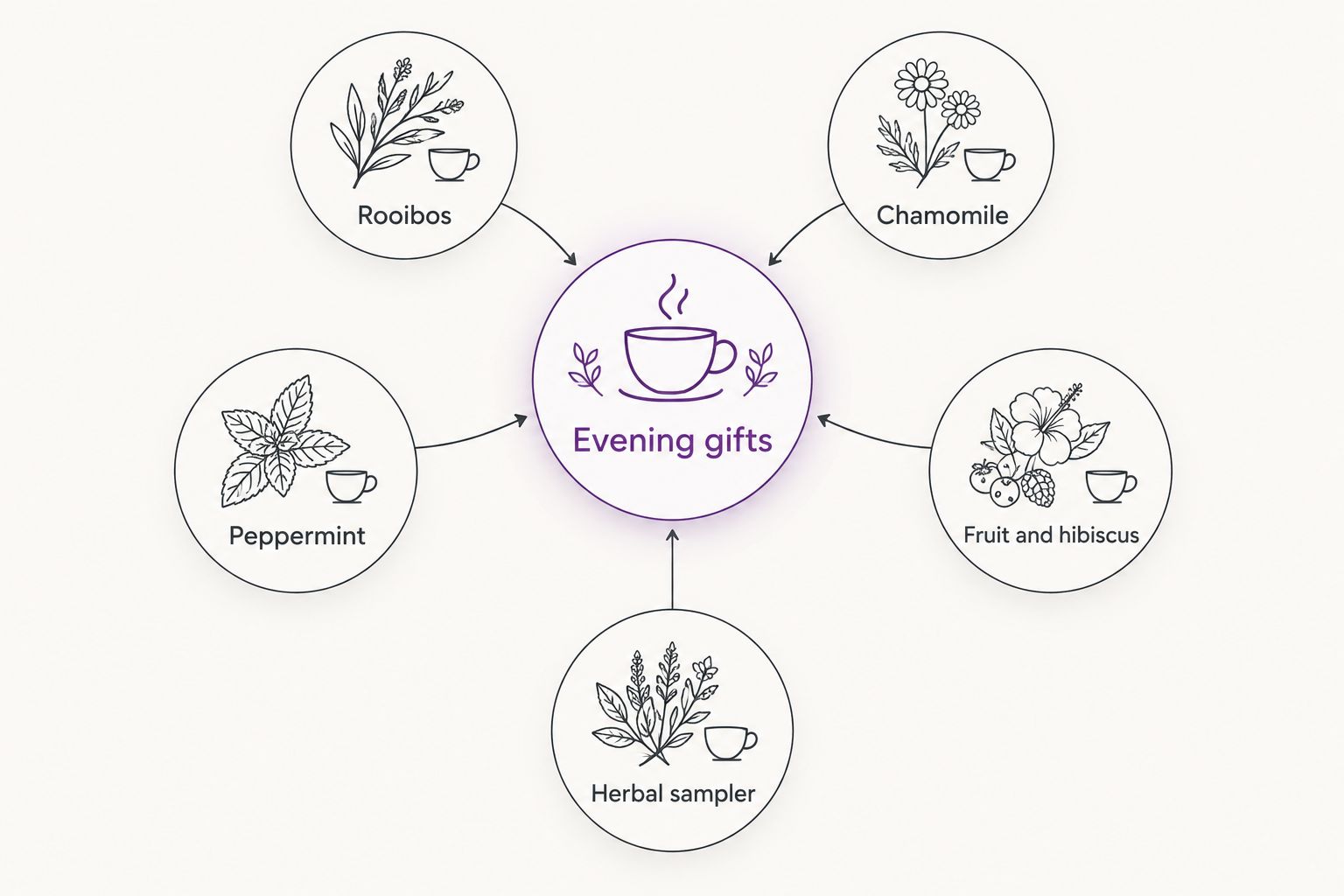 Five evening tea gift formats: rooibos, chamomile, peppermint, fruit and hibiscus, and an herbal sampler