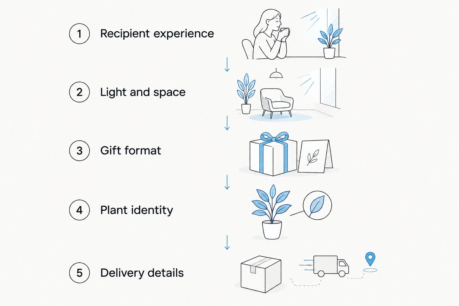 Five checks for choosing and sending an orchid gift