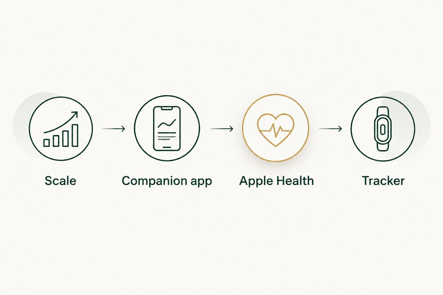 Four-stage weight syncing route from scale through companion app and Apple Health to tracker