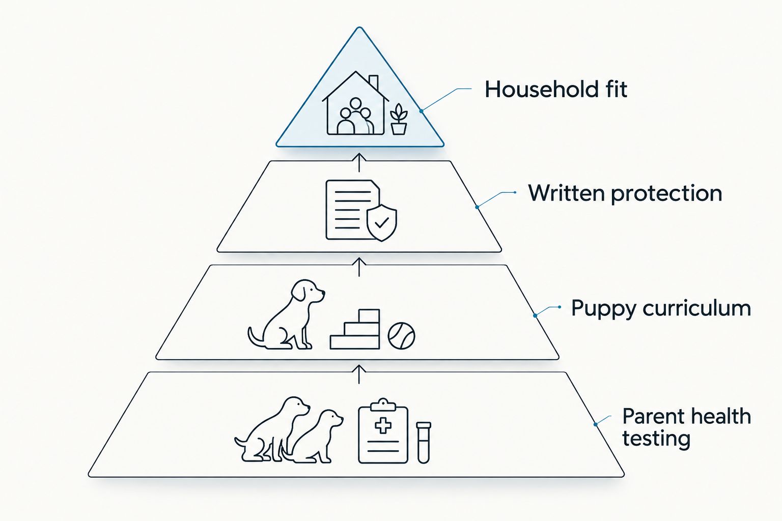 Four priorities for comparing Poodle breeders, from parent health testing to household fit