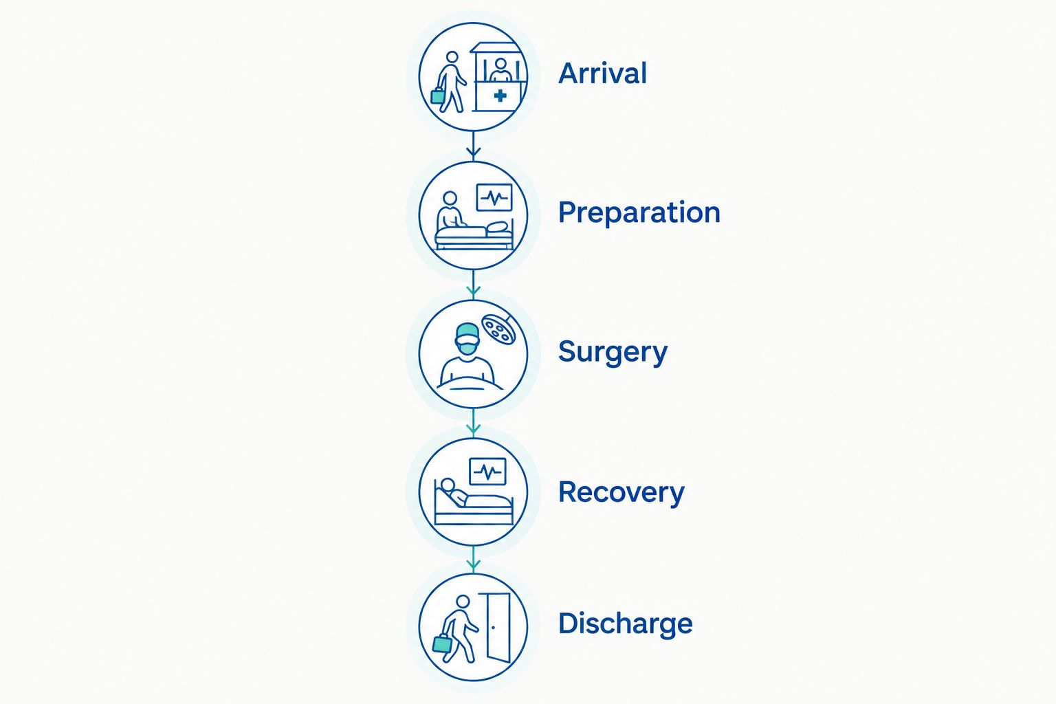 Surgery-day timeline showing arrival, preparation, surgery, recovery, and discharge
