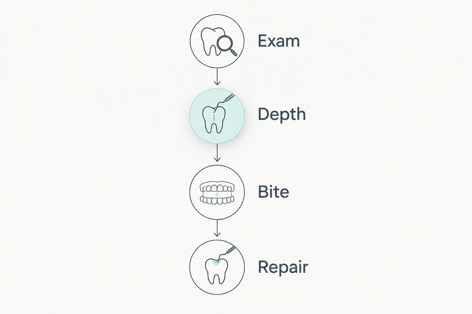 Four assessment stages: exam, damage depth, bite and repair