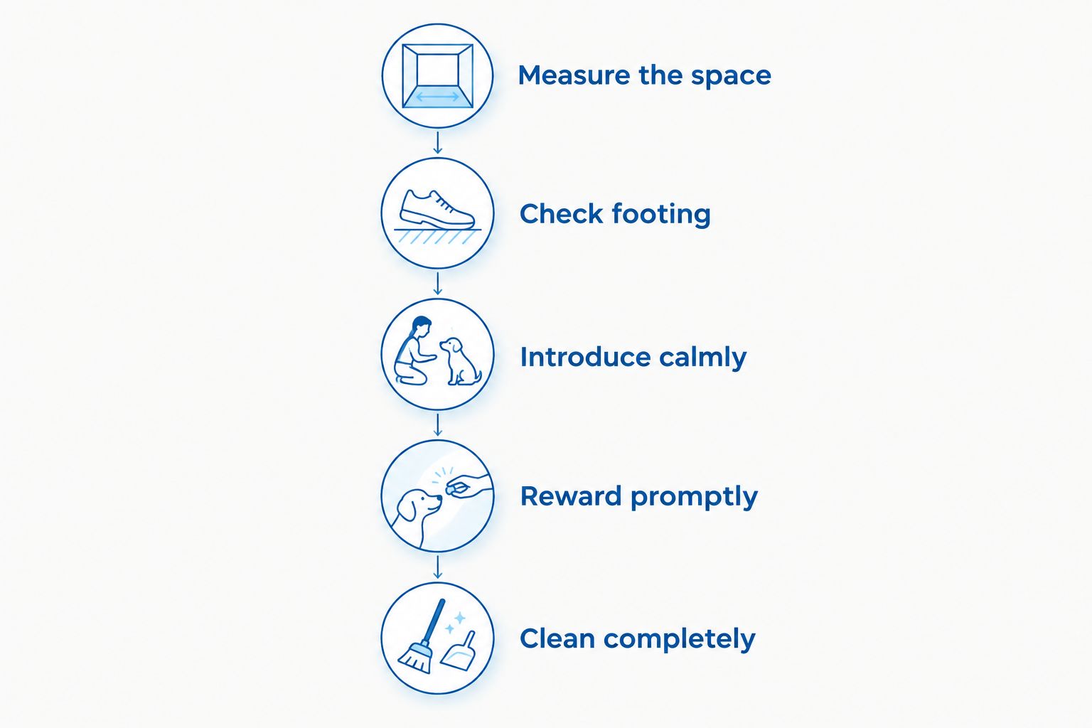 Five steps for setting up and introducing an indoor grass potty patch